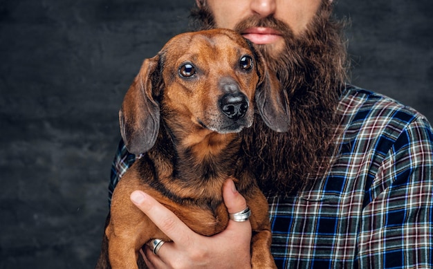 Free photo close up studio portrait of cute brown badger dog and his bearded man friend.