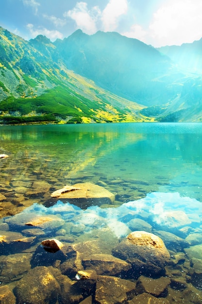 Close-up of submerged stones in the lake