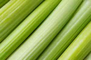 Free photo close-up texture of celery