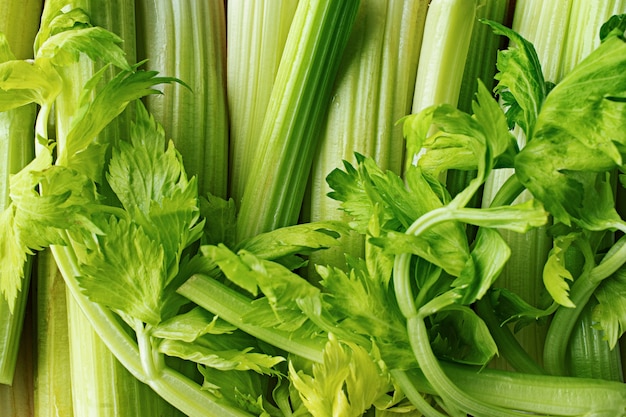 Close-up texture of celery