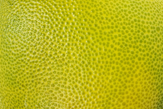 Close-up texture of citrus fruit skin