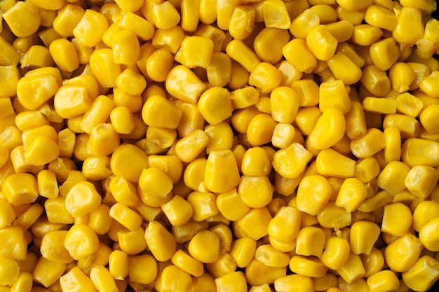Free photo close-up texture of corn