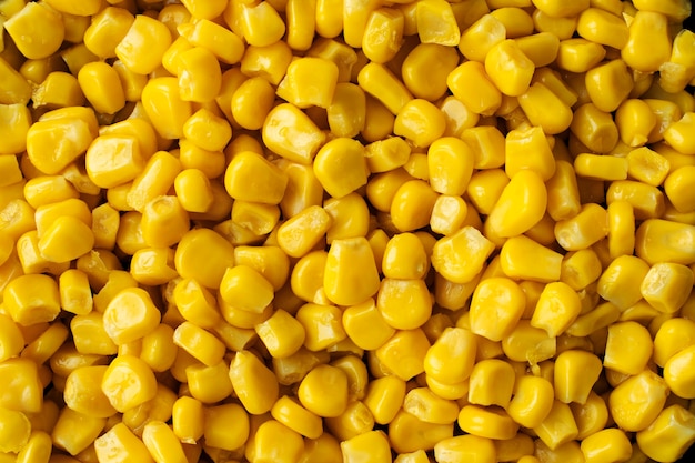 Close-up texture of corn