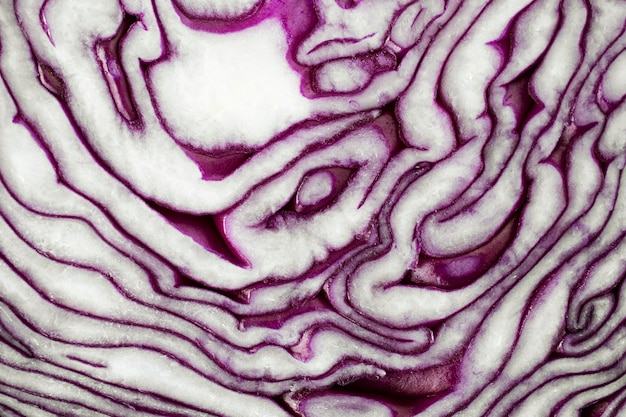 Close-up texture of red cabbage