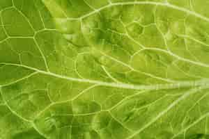 Free photo close-up texture of salad