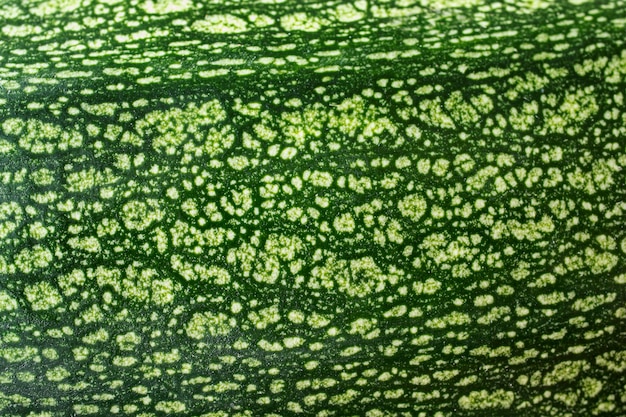 Close-up texture of vegetable skin
