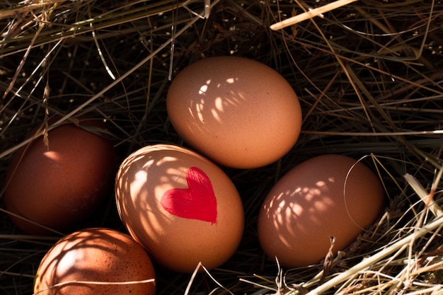 Close-up traditional easter eggs with heart painted