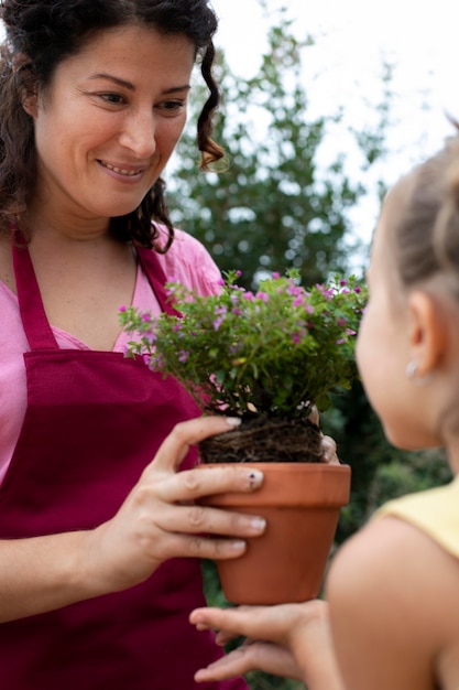 Free photo close up on transplanting process of plants