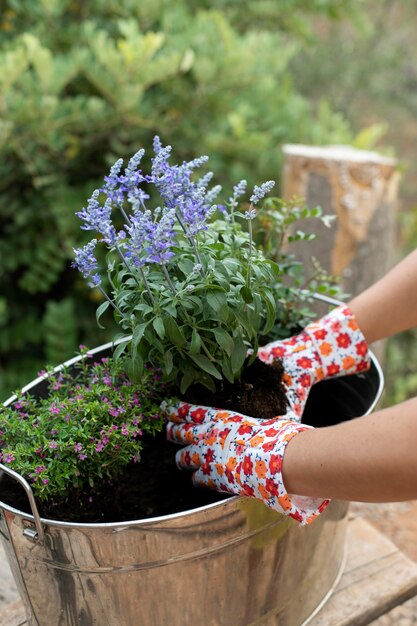 Close up on transplanting process of plants