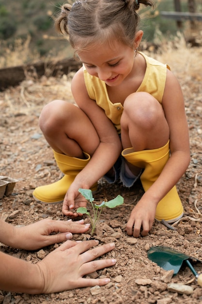 Free photo close up on transplanting process of plants