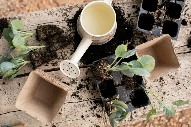 植物の移植プロセスのクローズアップ