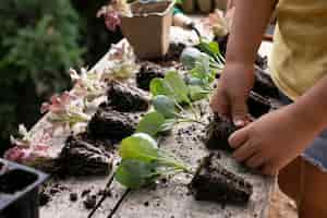 Free photo close up on transplanting process of plants