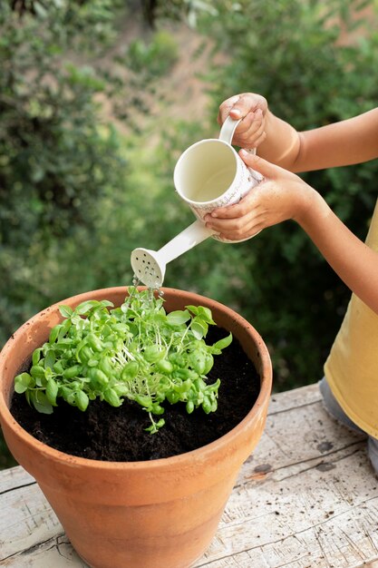 Close up on transplanting process of plants