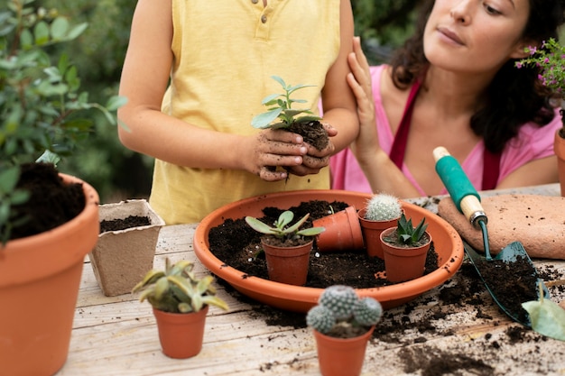 Close up on transplanting process of plants