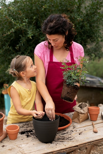 Close up on transplanting process of plants