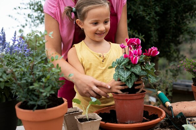 Close up on transplanting process of plants