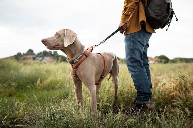 犬と一緒に歩いている旅行者をクローズアップ