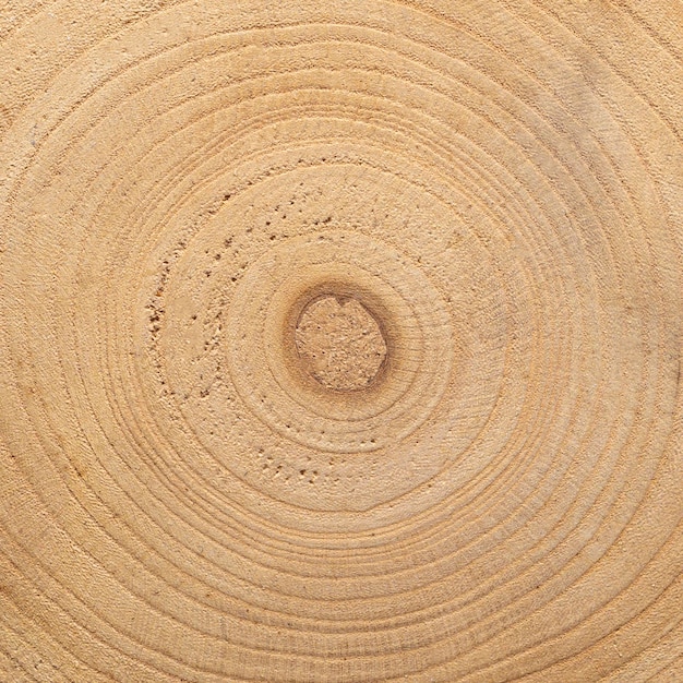 Бесплатное фото Текстура дерева крупным планом