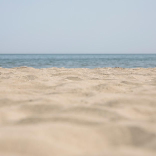 Foto gratuita primo piano della spiaggia sabbiosa tropicale