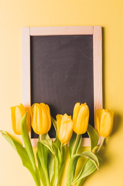 Close-up tulips on blackboard