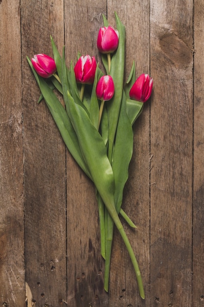 Close-up of tulips on wooden table