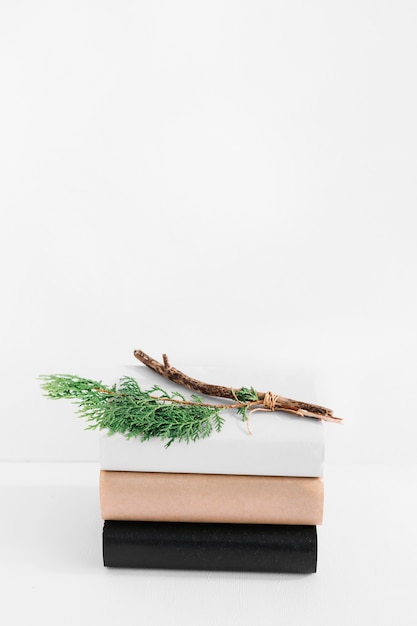 Close-up of twigs on the stack of books with different covers isolated on white background