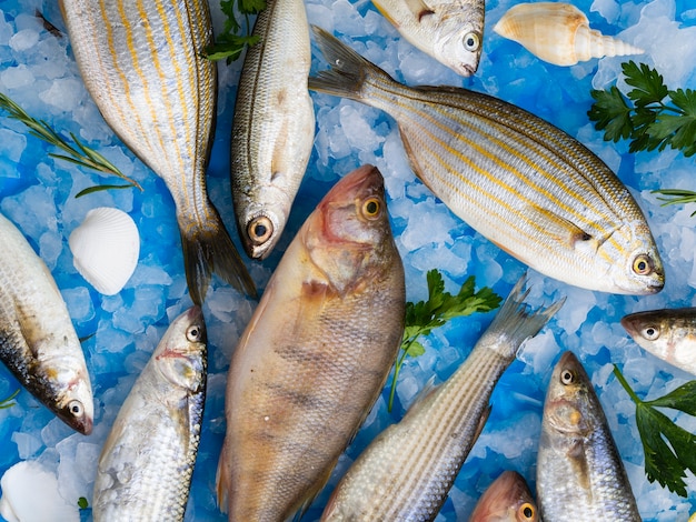 Close-up variety of fresh fishes on ice