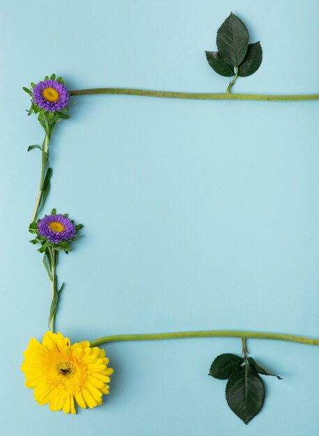 Close-up various types of flowers and leaves forming a natural frame