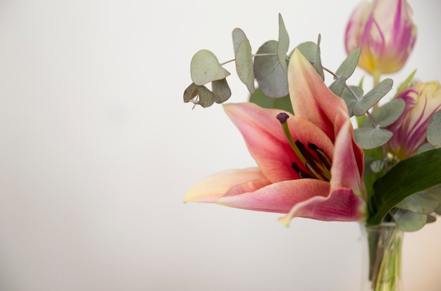 Close-up of vase with lily; eucalyptus populus leaves and tulip against white background