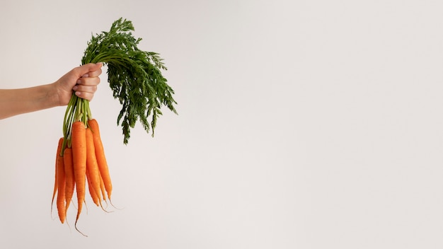 Close up on vegetables in kitchen