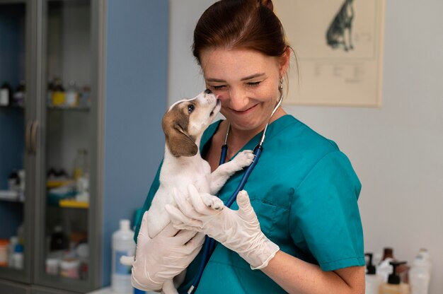 Primo piano sul veterinario che si prende cura del cane