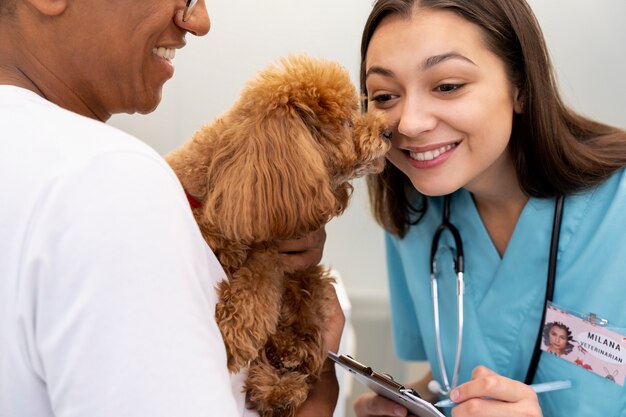 close up on veterinarian taking care of pet