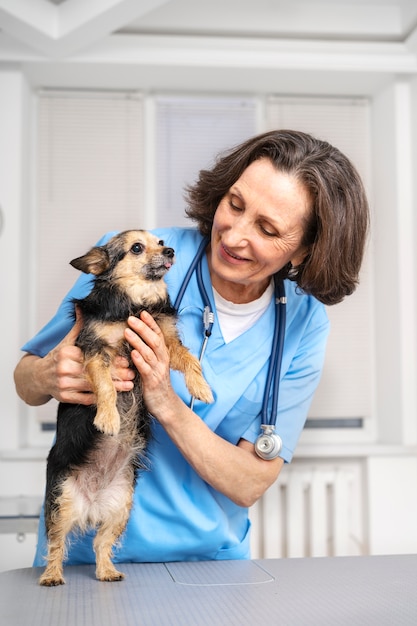 Close up on veterinary doctor taking care of pet