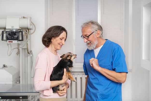 Foto gratuita primo piano sul medico veterinario che si prende cura dell'animale domestico