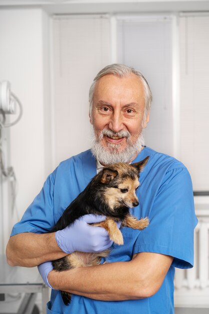 Close up on veterinary doctor taking care of pet