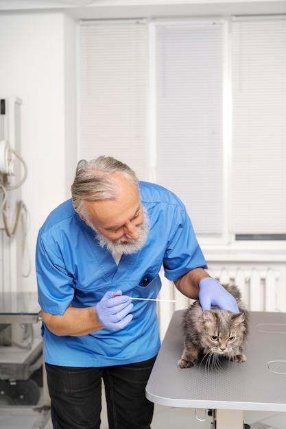 Foto gratuita primo piano sul medico veterinario che si prende cura dell'animale domestico