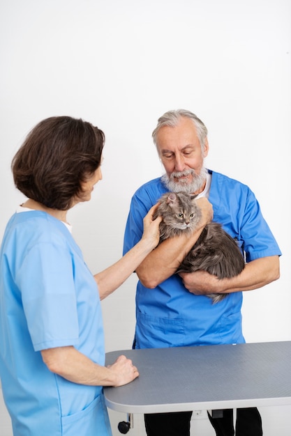 Foto gratuita primo piano sul medico veterinario che si prende cura dell'animale domestico