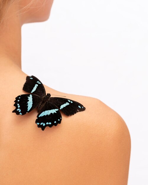 어깨에 아름 다운 나비의 클로즈업보기