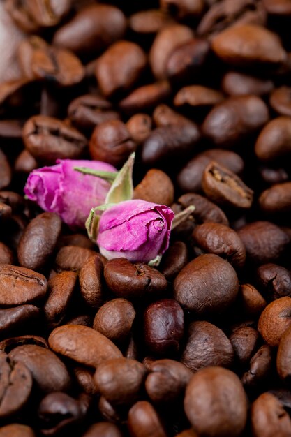 갈색 커피 콩 및 차 장미 꽃 봉 오리의 뷰를 닫습니다