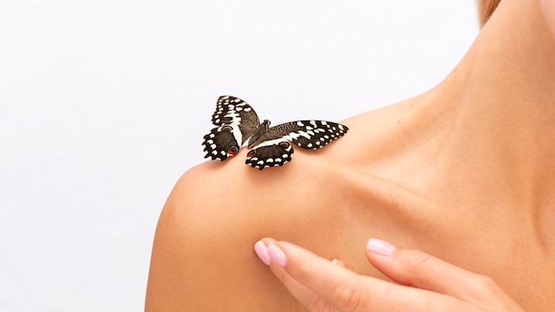 Крупным планом вид бабочки на плече