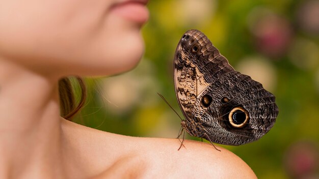 Close-up view of butterfly on shoulder