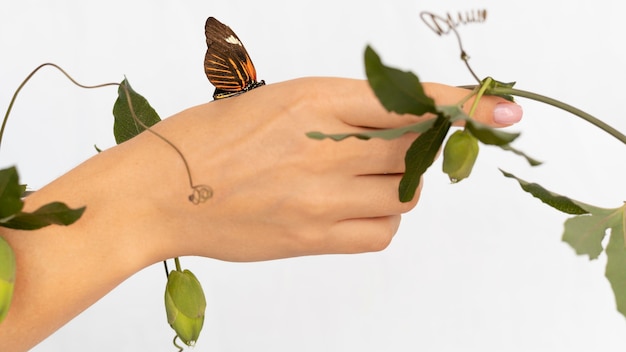 Free photo close-up view of butterfly sitting on hand