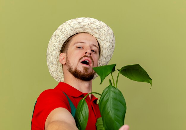 制服を着た自信を持って若いハンサムなスラブの庭師と孤立した方に手を伸ばして見ている植物を保持している帽子の拡大図
