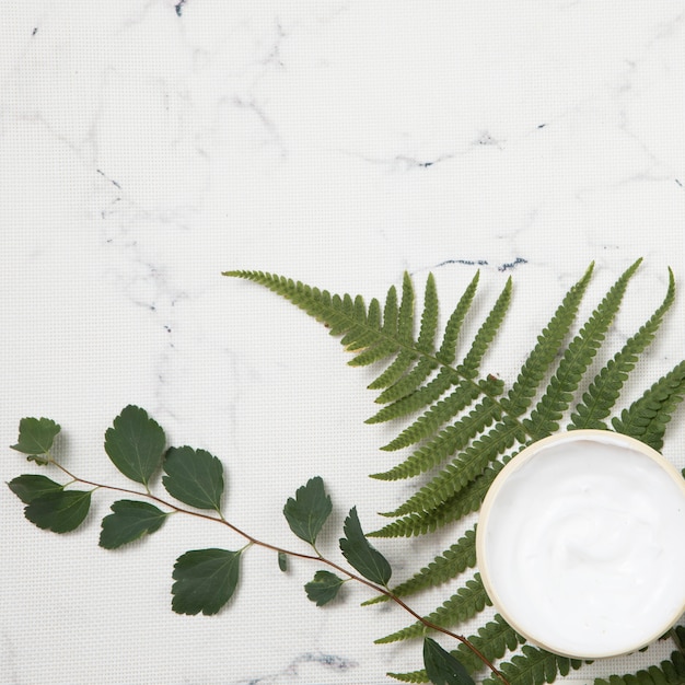 Close-up view of cream and leaves on marble background