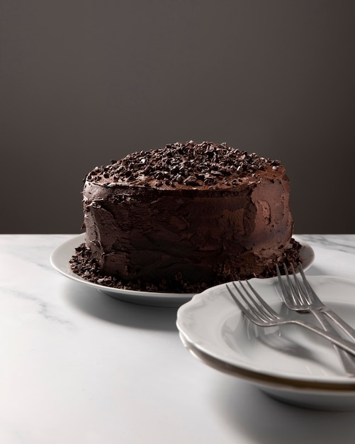 Close-up view of delicious chocolate cake concept