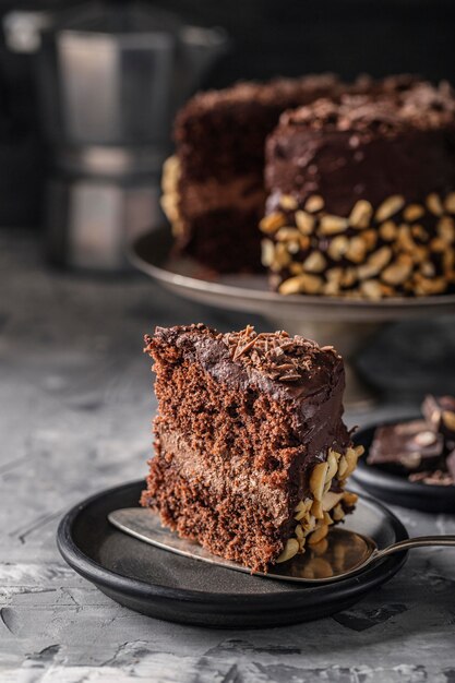 Close-up view of delicious chocolate cake