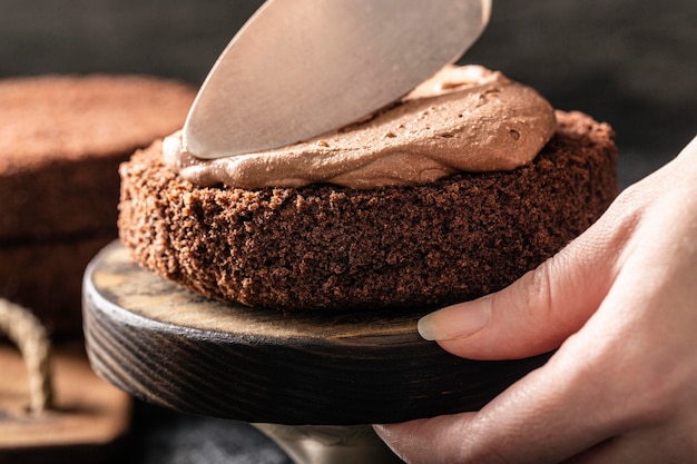 Close-up view of delicious chocolate cake