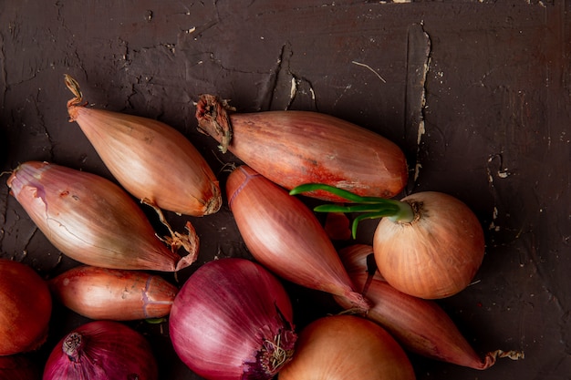 Close-up view of different onions on maroon background with copy space