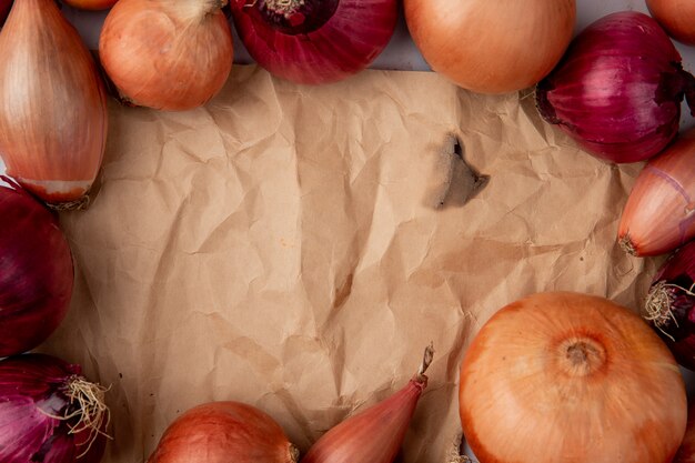 Close-up view of different onions with copy space