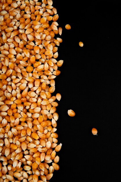 Close-up view of dried corn seeds on left side and black background